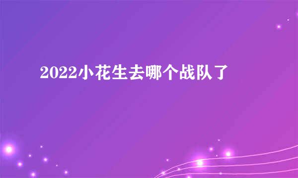 2022小花生去哪个战队了