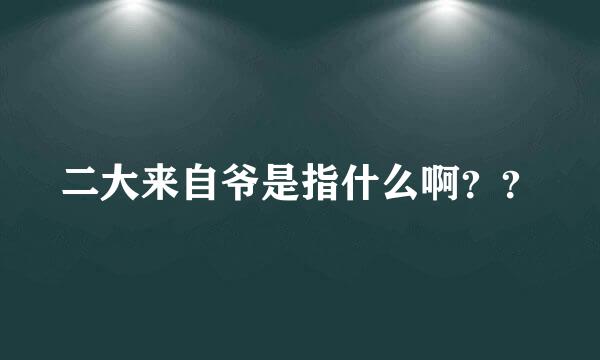 二大来自爷是指什么啊？？