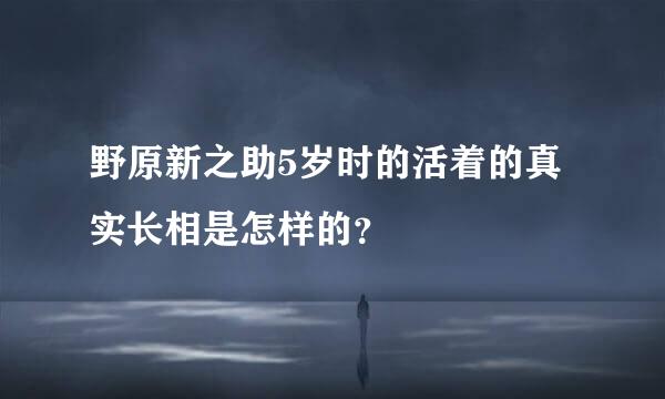 野原新之助5岁时的活着的真实长相是怎样的？