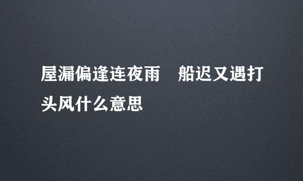 屋漏偏逢连夜雨 船迟又遇打头风什么意思