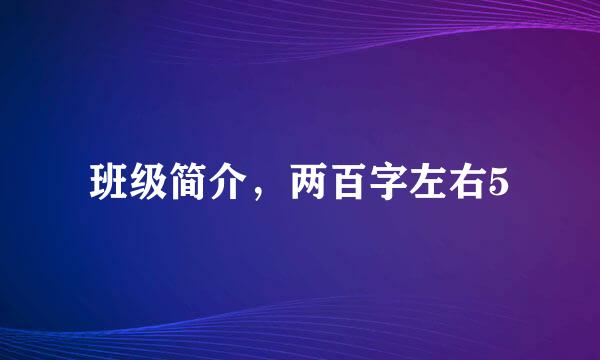 班级简介，两百字左右5