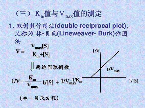 什么是Km值？