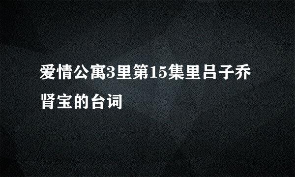 爱情公寓3里第15集里吕子乔肾宝的台词