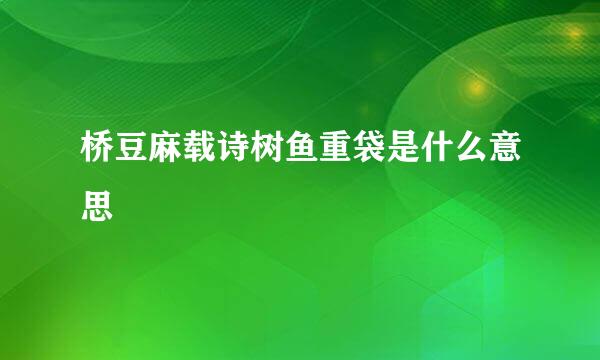 桥豆麻载诗树鱼重袋是什么意思