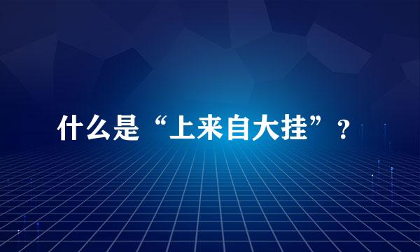 什么是“上来自大挂”？