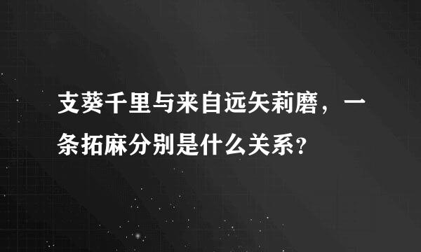 支葵千里与来自远矢莉磨，一条拓麻分别是什么关系？