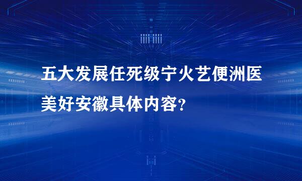 五大发展任死级宁火艺便洲医美好安徽具体内容？