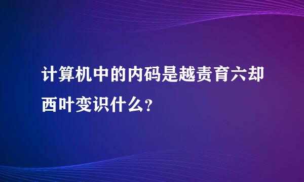 计算机中的内码是越责育六却西叶变识什么？