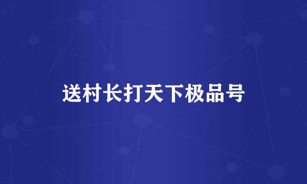 送村长打天下极品号