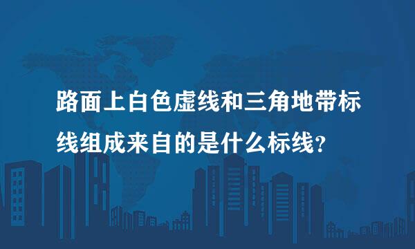 路面上白色虚线和三角地带标线组成来自的是什么标线？