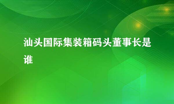 汕头国际集装箱码头董事长是谁