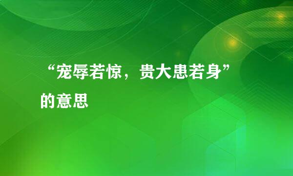 “宠辱若惊，贵大患若身” 的意思