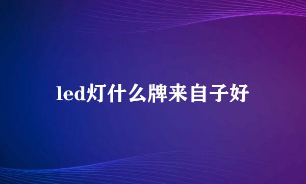 led灯什么牌来自子好