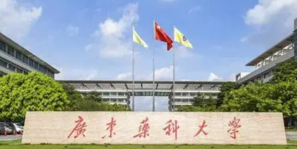 广东航省大学排名