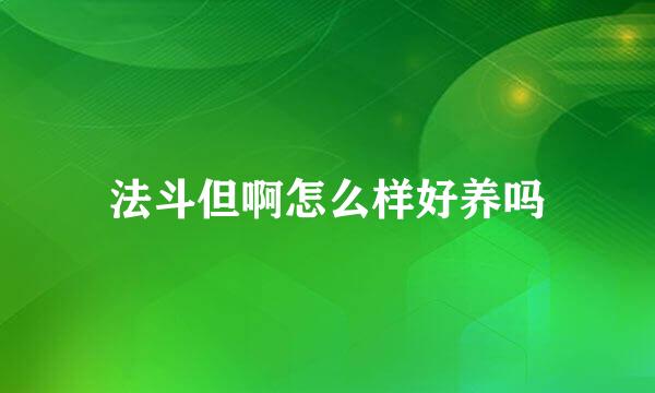 法斗但啊怎么样好养吗