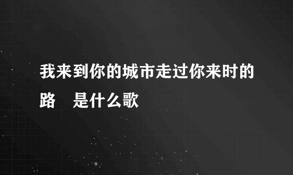 我来到你的城市走过你来时的路 是什么歌