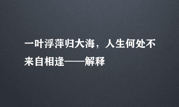 一叶浮萍归大海，人生何处不来自相逢——解释