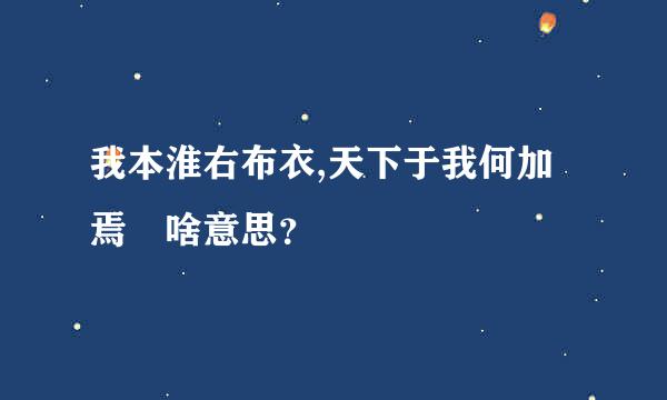 我本淮右布衣,天下于我何加焉 啥意思？