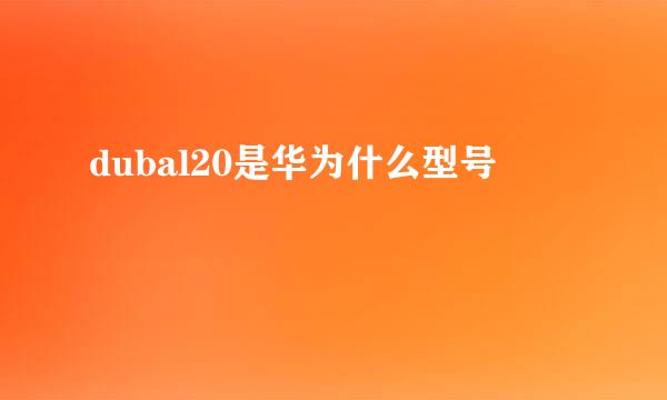 dubal20是华为什么型号