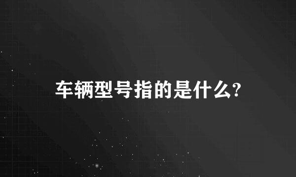 车辆型号指的是什么?