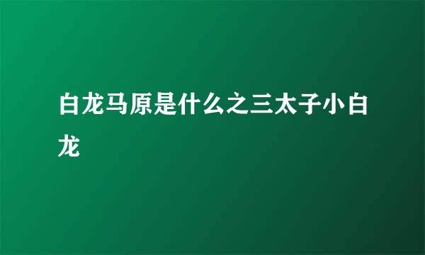 白龙马原是什么之三太子小白龙