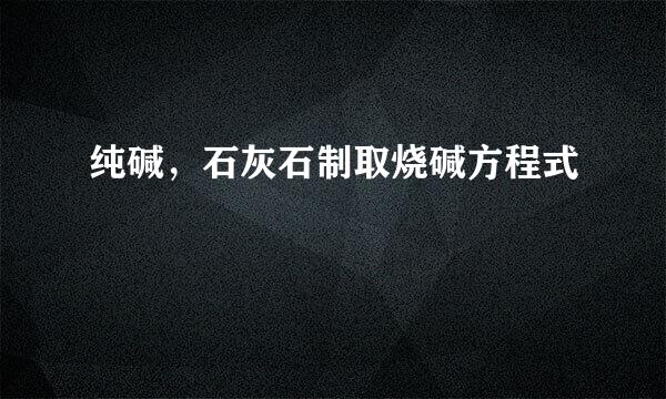 纯碱，石灰石制取烧碱方程式