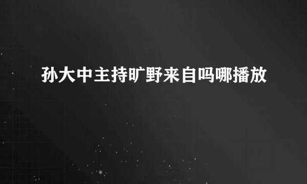 孙大中主持旷野来自吗哪播放