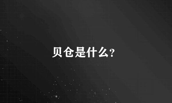 贝仓是什么？