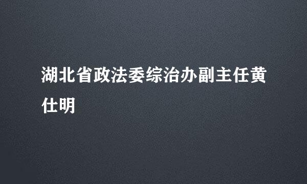 湖北省政法委综治办副主任黄仕明