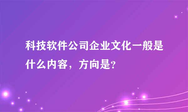 科技软件公司企业文化一般是什么内容，方向是？