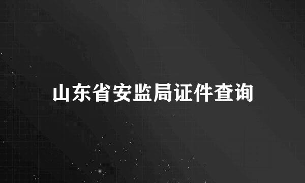 山东省安监局证件查询