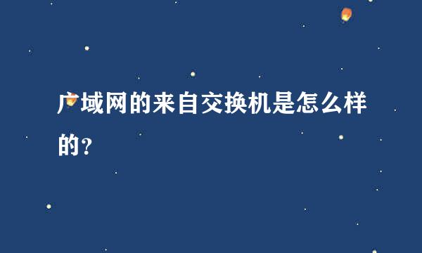 广域网的来自交换机是怎么样的？