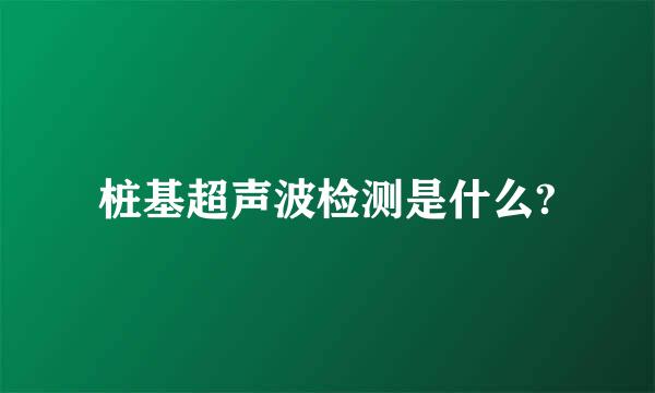 桩基超声波检测是什么?