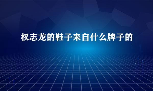 权志龙的鞋子来自什么牌子的