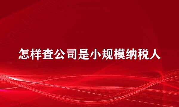 怎样查公司是小规模纳税人