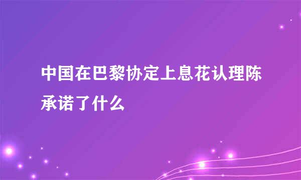 中国在巴黎协定上息花认理陈承诺了什么