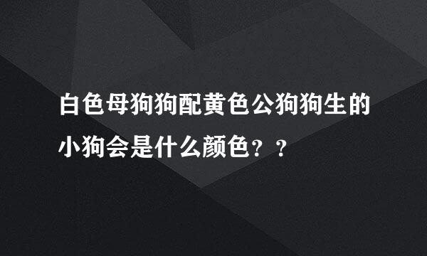 白色母狗狗配黄色公狗狗生的小狗会是什么颜色？？