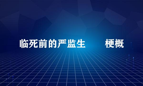 临死前的严监生  梗概