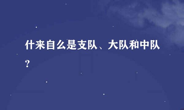 什来自么是支队、大队和中队？