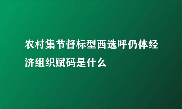 农村集节督标型西选呼仍体经济组织赋码是什么