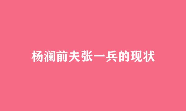 杨澜前夫张一兵的现状