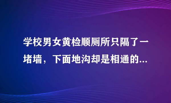 学校男女黄检顺厕所只隔了一堵墙，下面地沟却是相通的。有一次无意中发现了一个秘密:原来在最靠近墙的那个蹲位