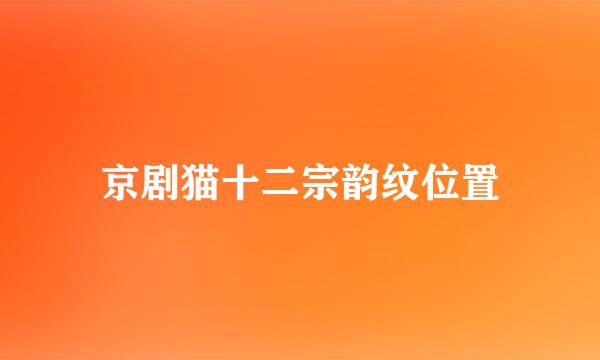 京剧猫十二宗韵纹位置