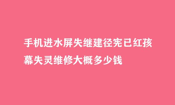 手机进水屏失继建径宪已红孩幕失灵维修大概多少钱