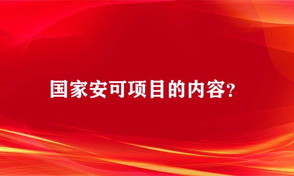 国家安可项目的内容？