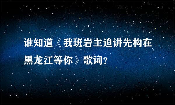 谁知道《我班岩主迫讲先构在黑龙江等你》歌词？