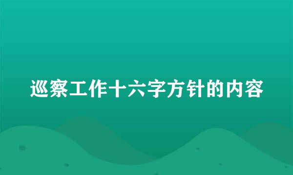 巡察工作十六字方针的内容