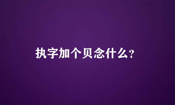 执字加个贝念什么？