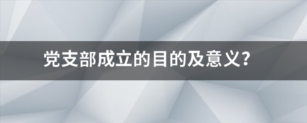 党支部成立的来自目的及意义？