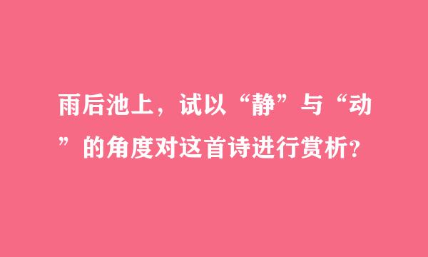 雨后池上，试以“静”与“动”的角度对这首诗进行赏析？